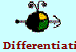  Differentiation Methods