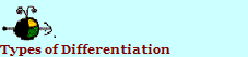 Types of Differentiation